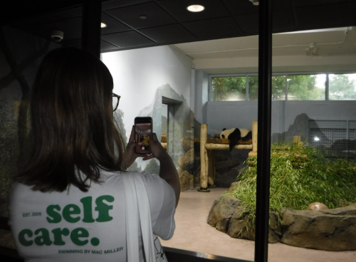 Smithsonian Zoo
