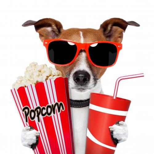 Movie Night Clipart