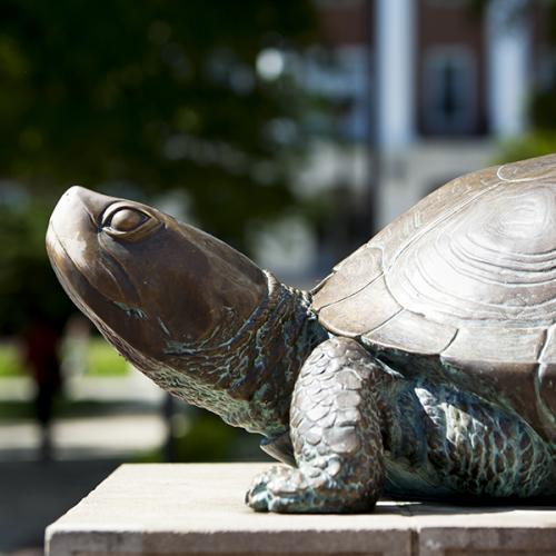 Testudo