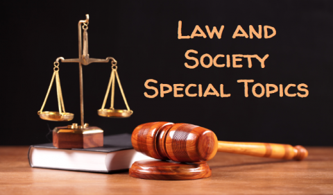 Law and Society Special Topics